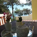 Uvala Murtar Lejlighed *