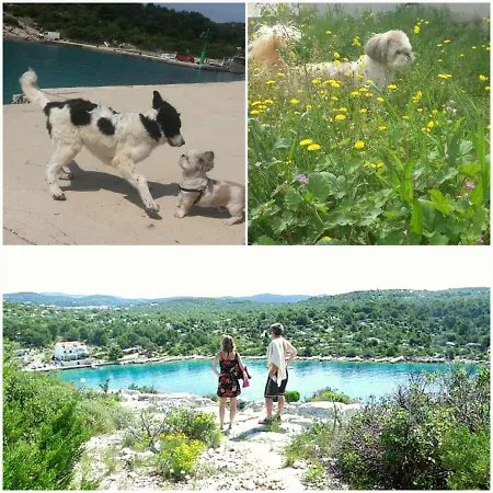 Lejlighed Uvala Murtar Jezera