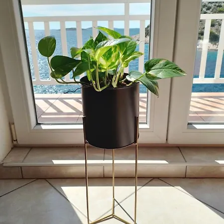 Uvala Murtar Appartement Jezera