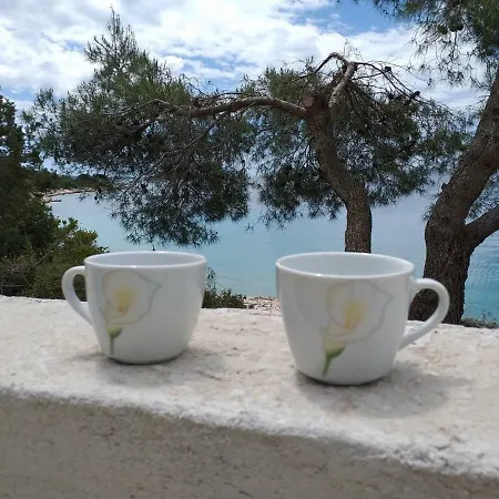 Uvala Murtar Lejlighed *