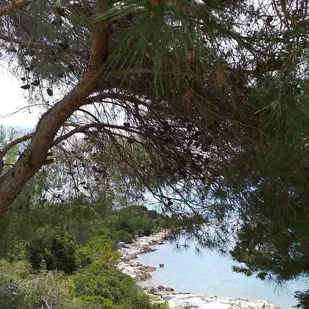 Apartman Uvala Murtar *