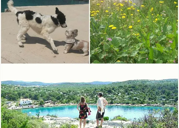 شقة Uvala Murtar يزيرا