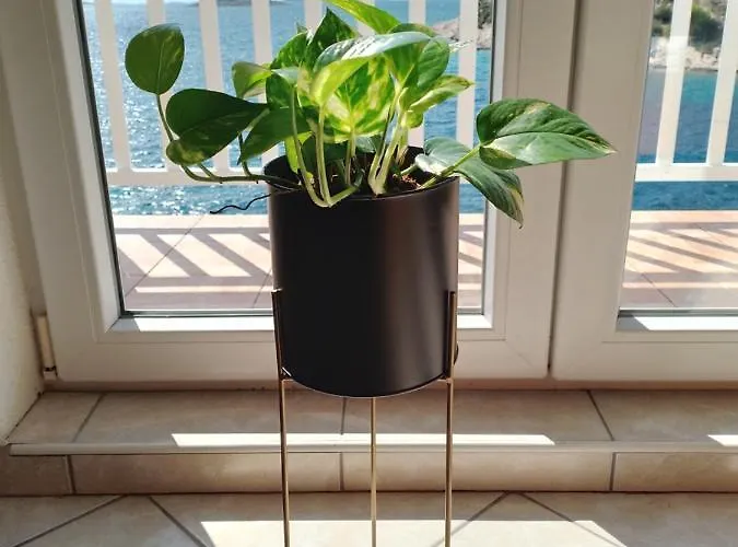 Uvala Murtar شقة يزيرا