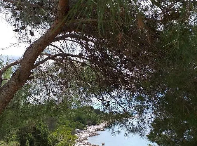 Апартаменты Uvala Murtar *