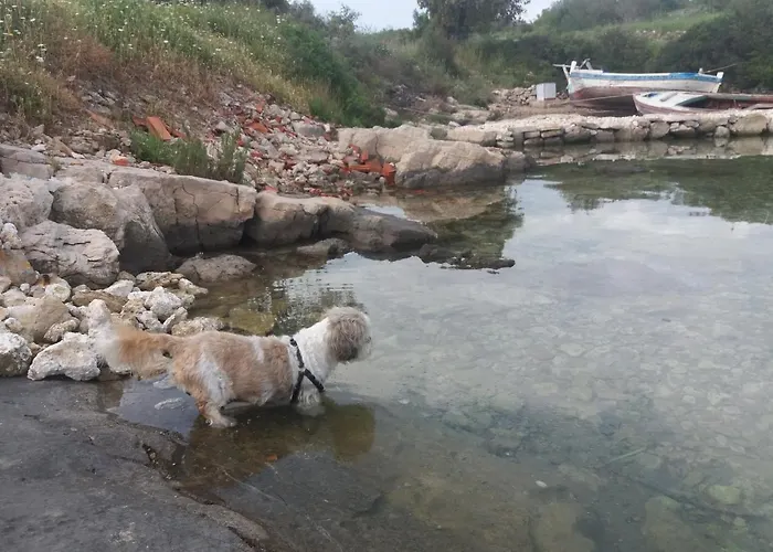 Uvala Murtar * Jezera